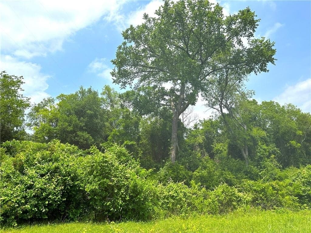 13.2 acres in McLennan County - photo 8