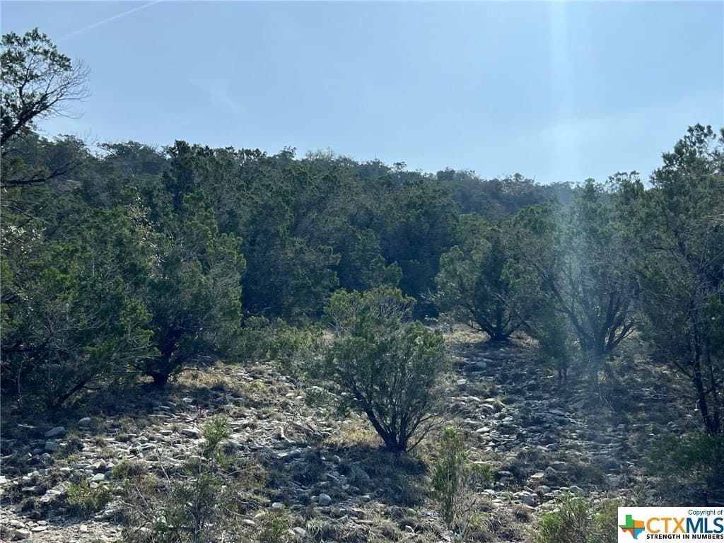 13.71 acres in Comal County - photo 17