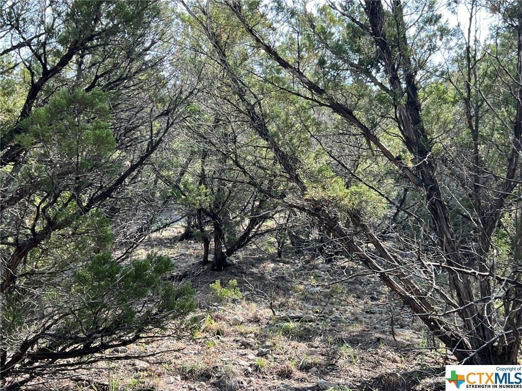 13.71 acres in Comal County - photo 15