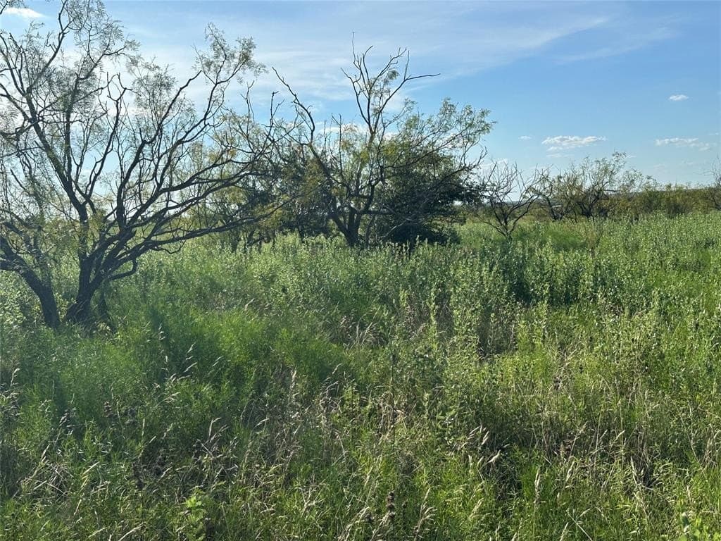 75.03 acres in Hamilton County - photo 20