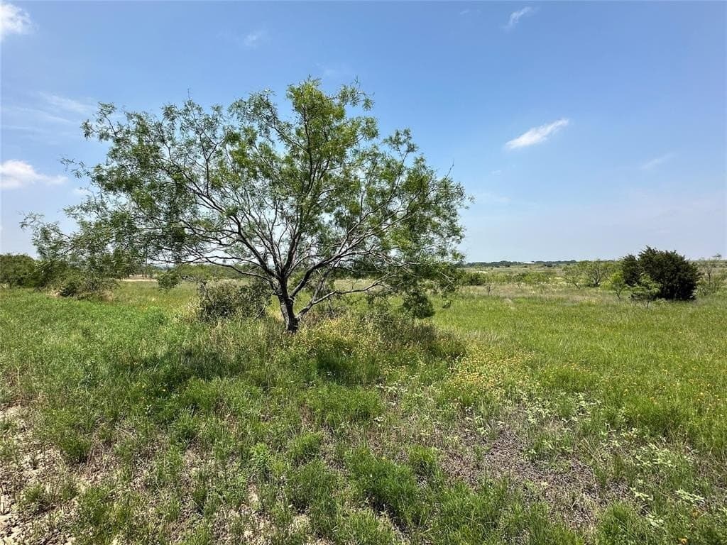 75.03 acres in Hamilton County - photo 11