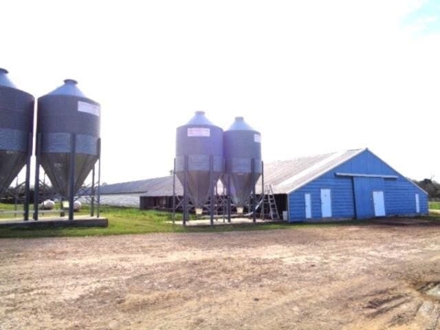 80 acres in Upshur County - photo 6