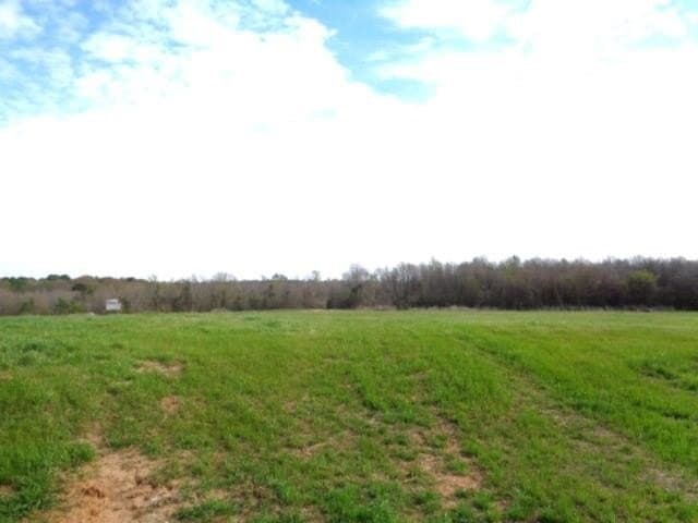 80 acres in Upshur County - photo 10