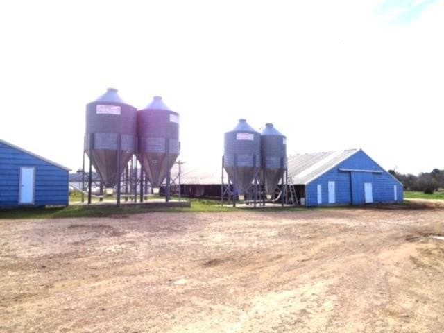 80 acres in Upshur County - photo 5