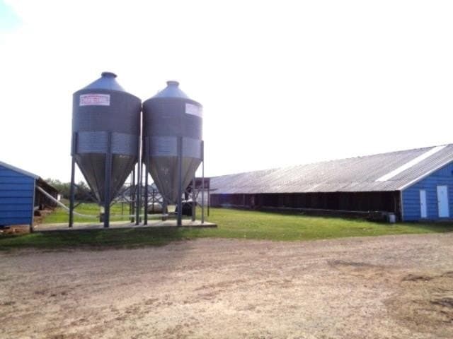 80 acres in Upshur County - photo 3