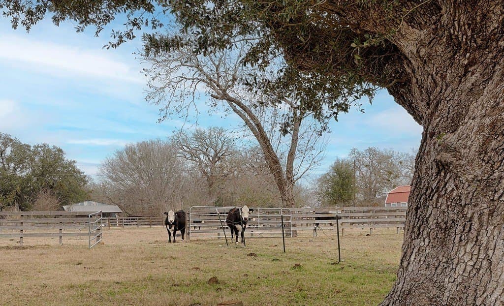 22.78 acres in Lavaca County - photo 16