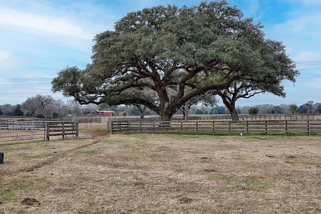 22.78 acres in Lavaca County - photo 9