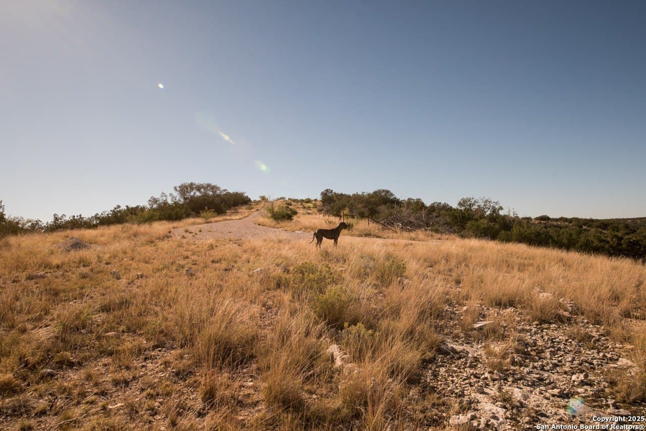 82 acres in Edwards County - photo 17