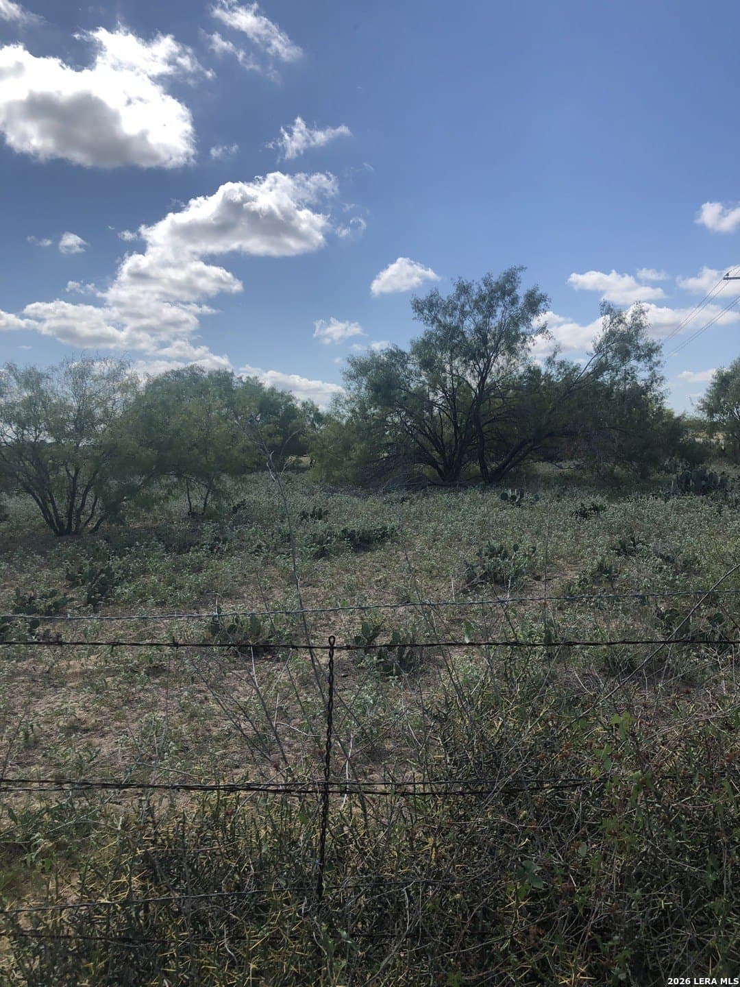 10 acres in Atascosa County - photo 2
