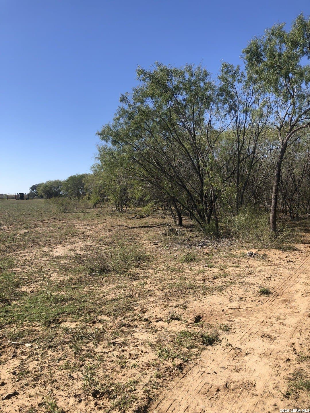 10 acres in Atascosa County - photo 4
