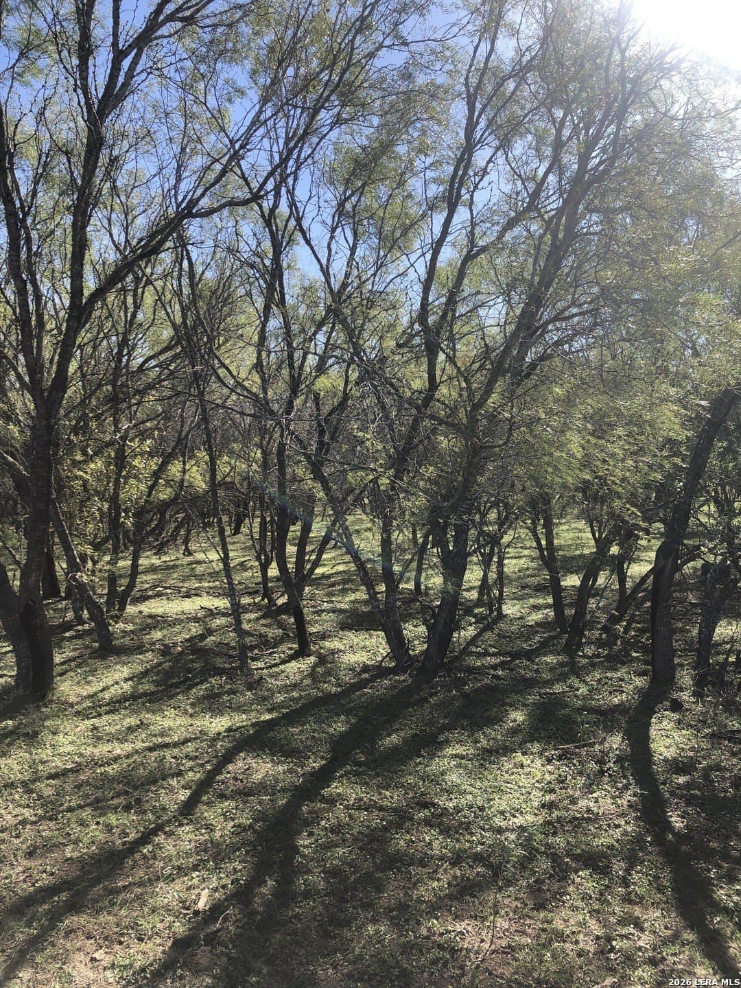10 acres in Atascosa County - photo 5