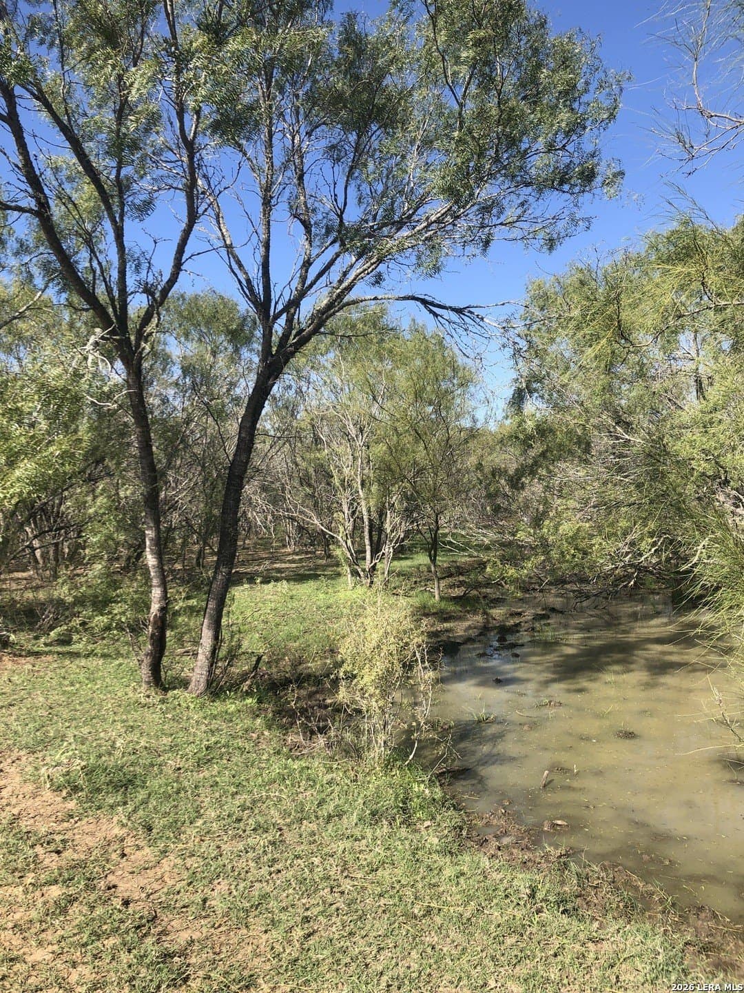 10 acres in Atascosa County - photo 3