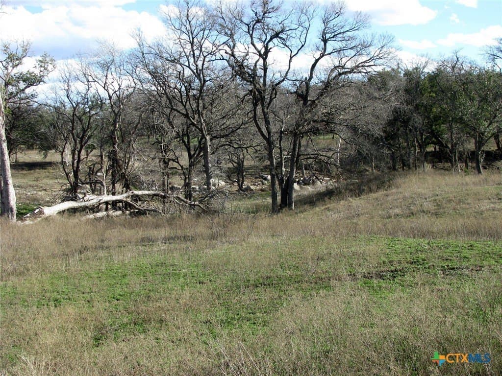 5.01 acres in Coryell County - photo 19