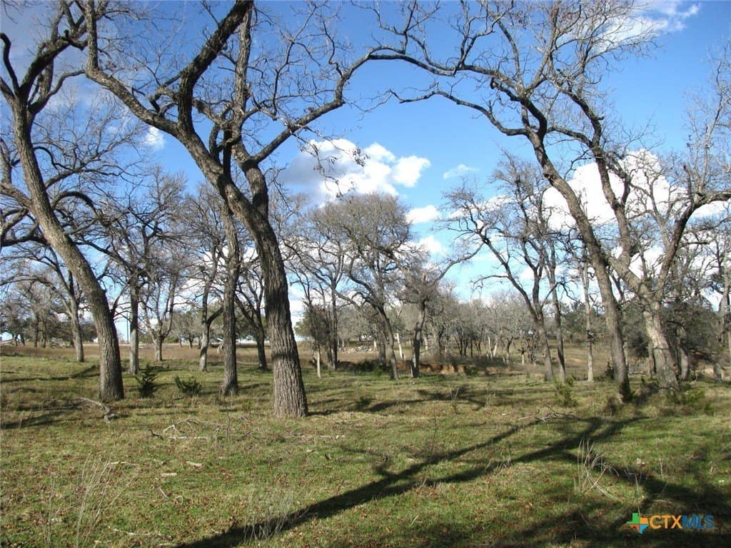 5.01 acres in Coryell County - photo 12