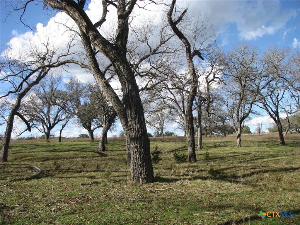 5.01 acres in Coryell County - photo 13