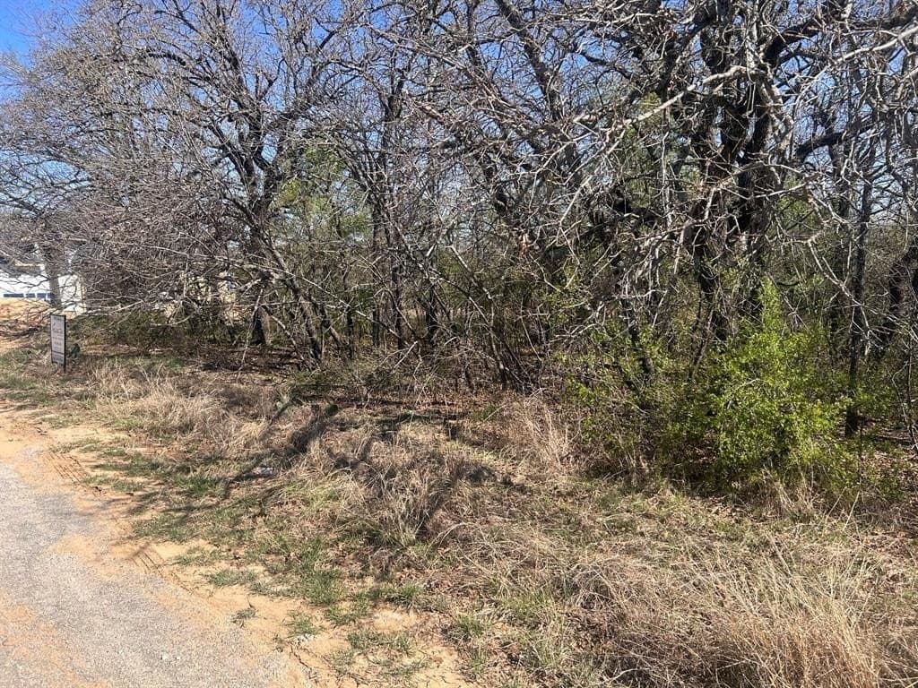 0.2 acres in Wise County - photo 2