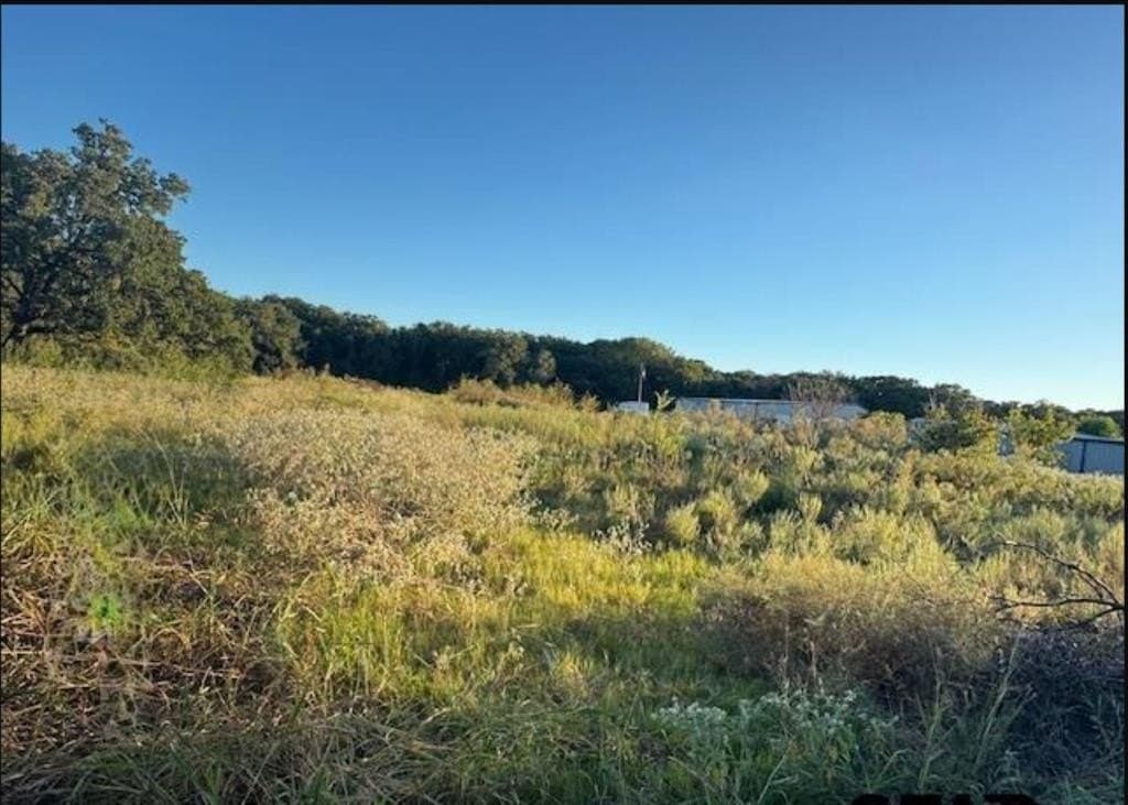 7.5 acres in Henderson County - photo 8