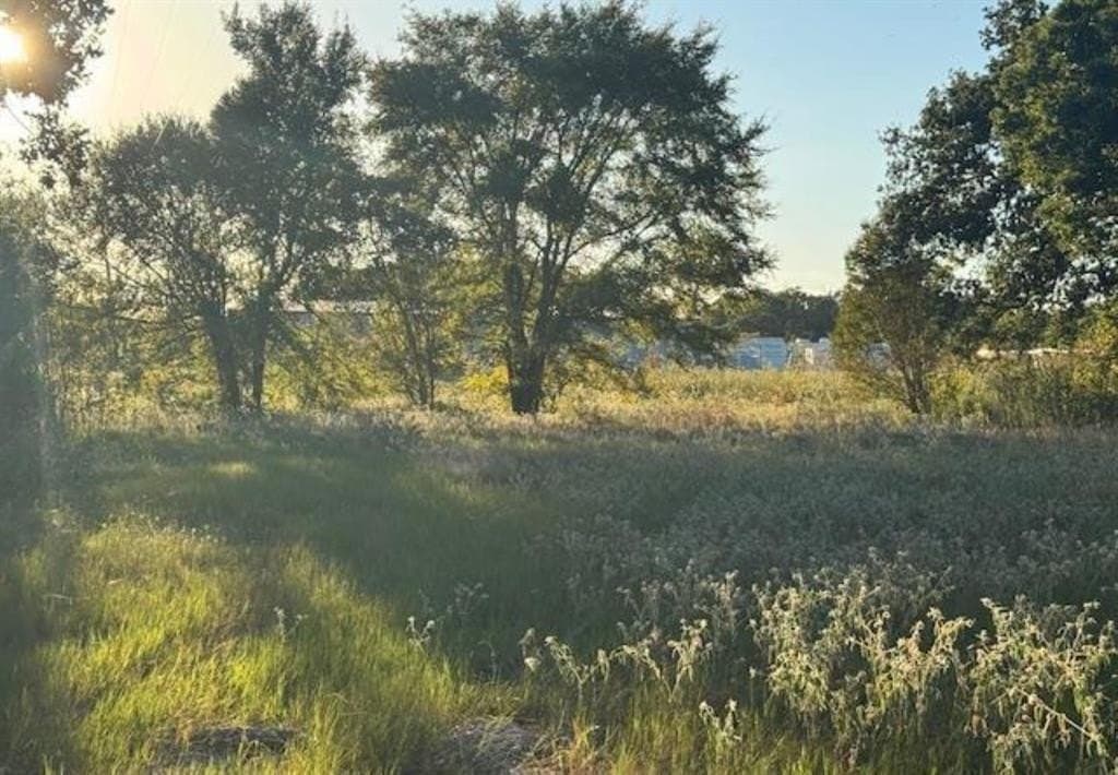 7.5 acres in Henderson County - photo 2