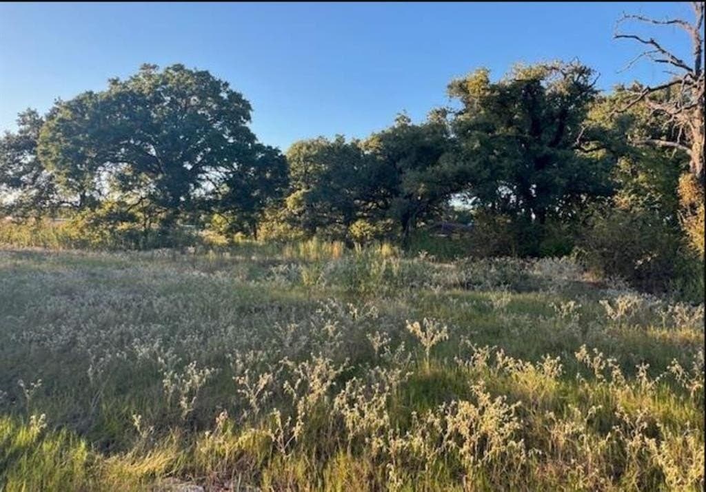 7.5 acres in Henderson County - photo 4