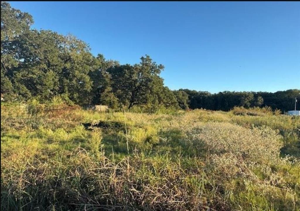 7.5 acres in Henderson County - photo 7