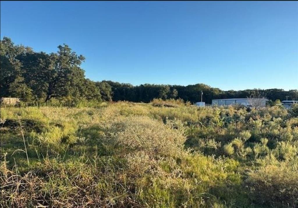 7.5 acres in Henderson County - photo 9