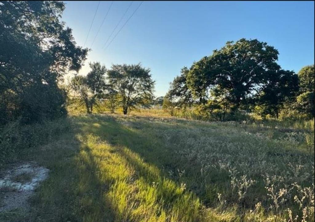 7.5 acres in Henderson County - photo 6