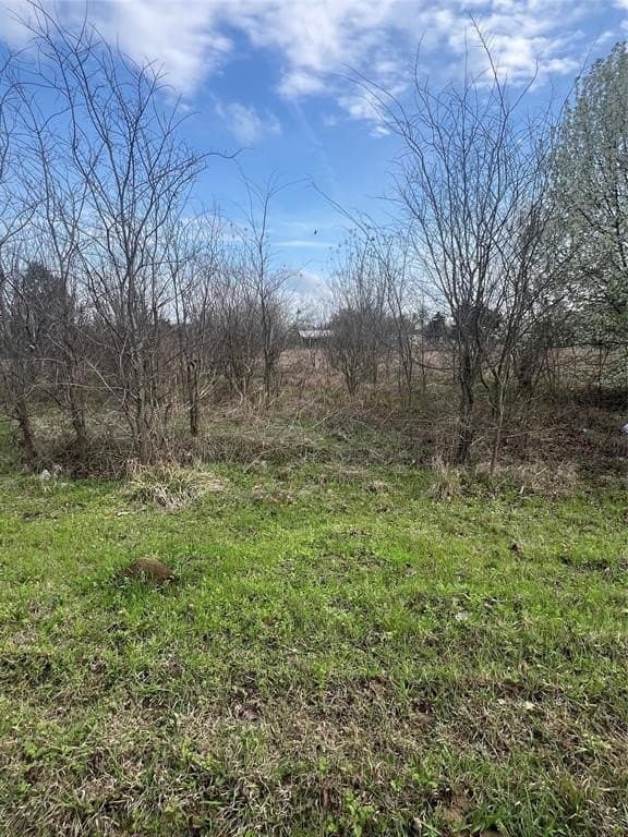 0.35 acres in Rains County - photo 2