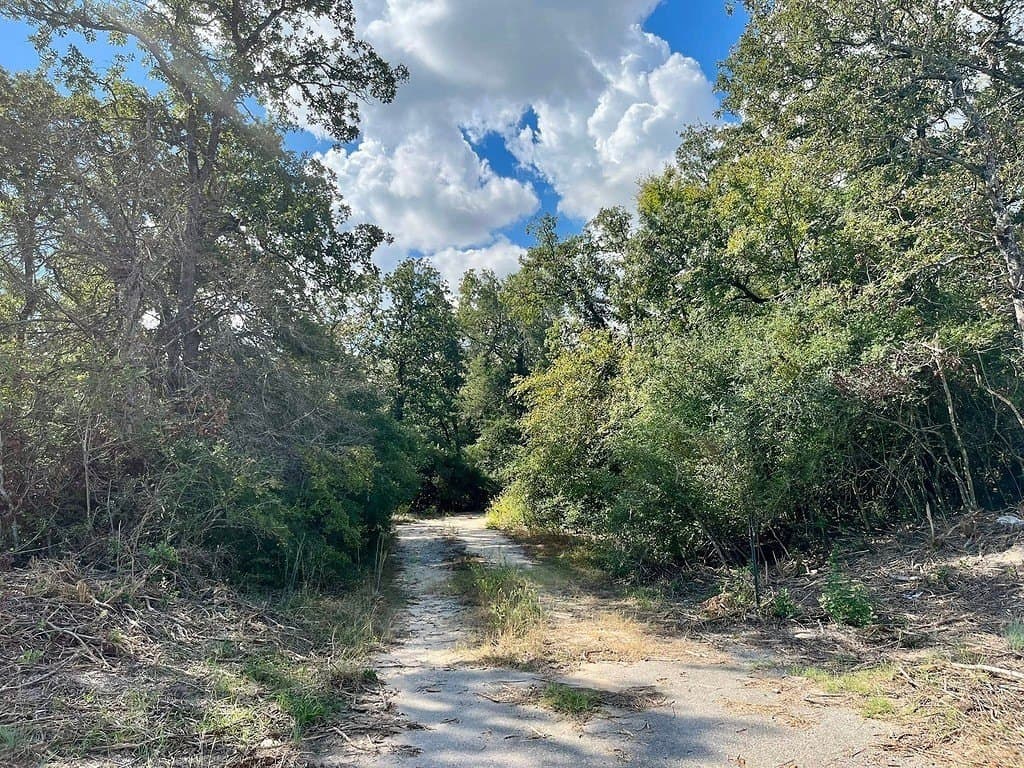 2.9 acres in Limestone County - photo 2