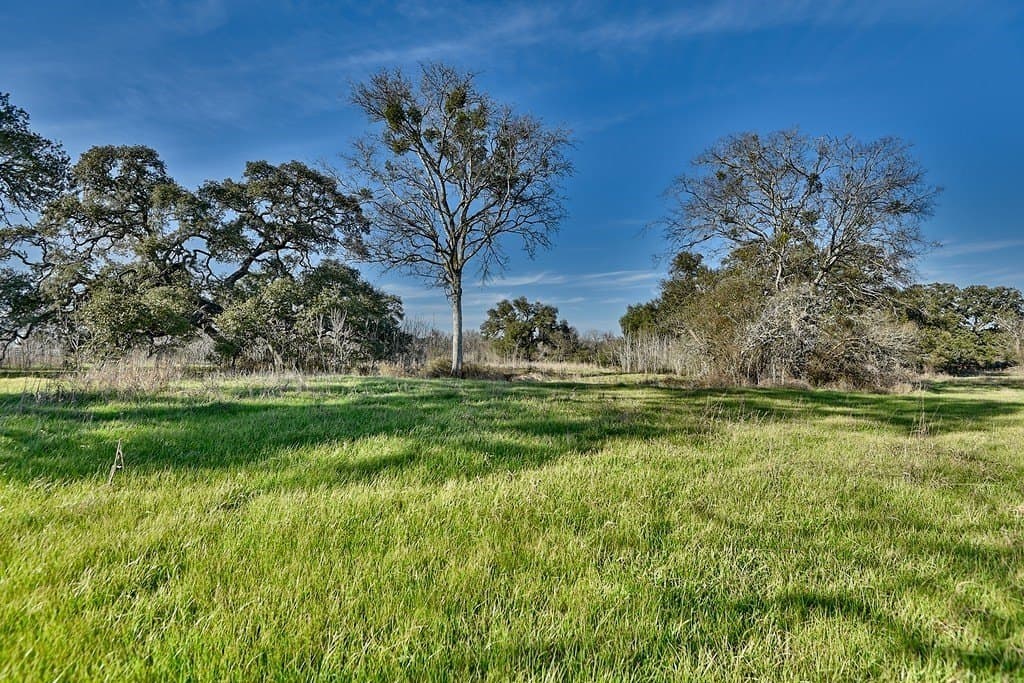 47.7 acres in Washington County - photo 5