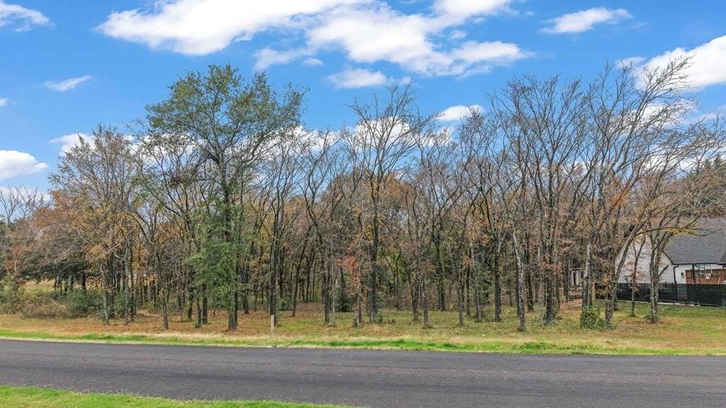 0.71 acres in Kaufman County - photo 5