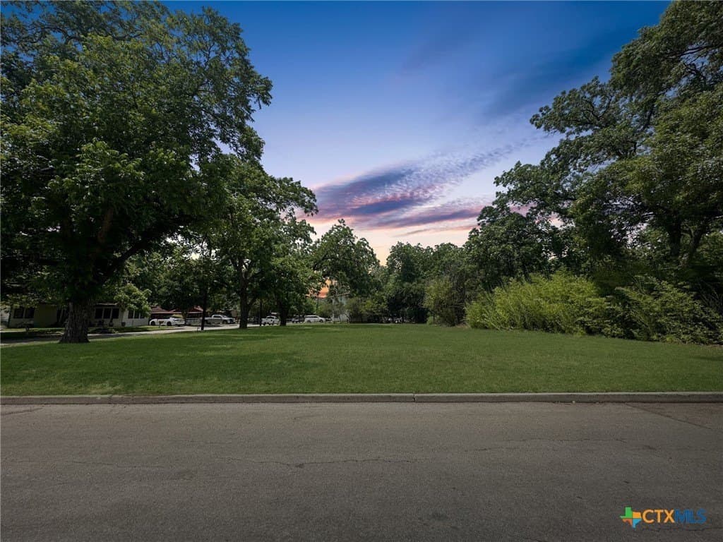 0.29 acres in Comal County - photo 8