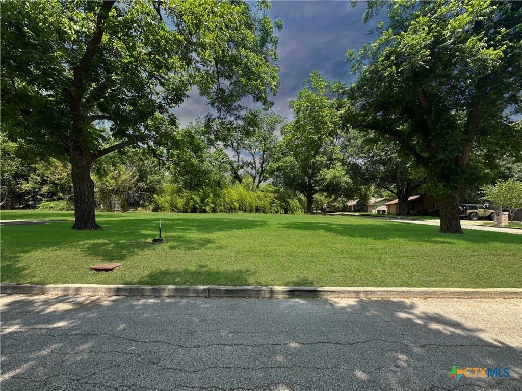 0.29 acres in Comal County - photo 5
