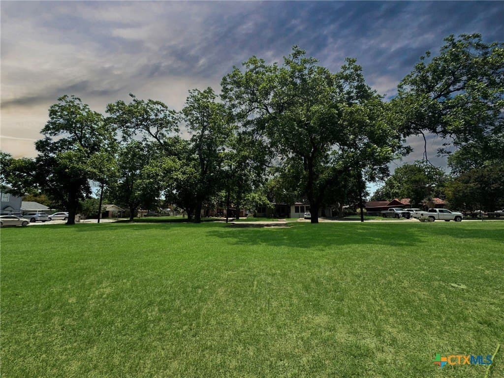 0.29 acres in Comal County - photo 10