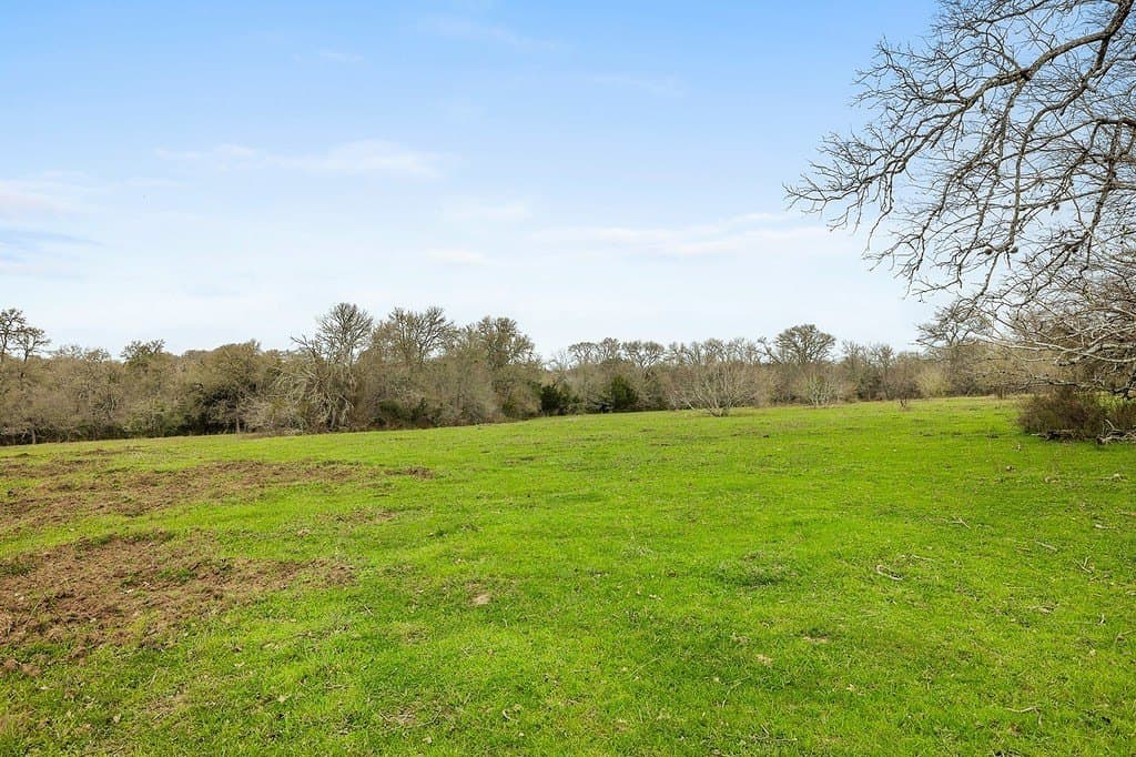 21 acres in Colorado County - photo 3