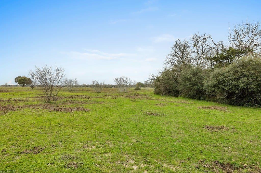 21 acres in Colorado County - photo 5