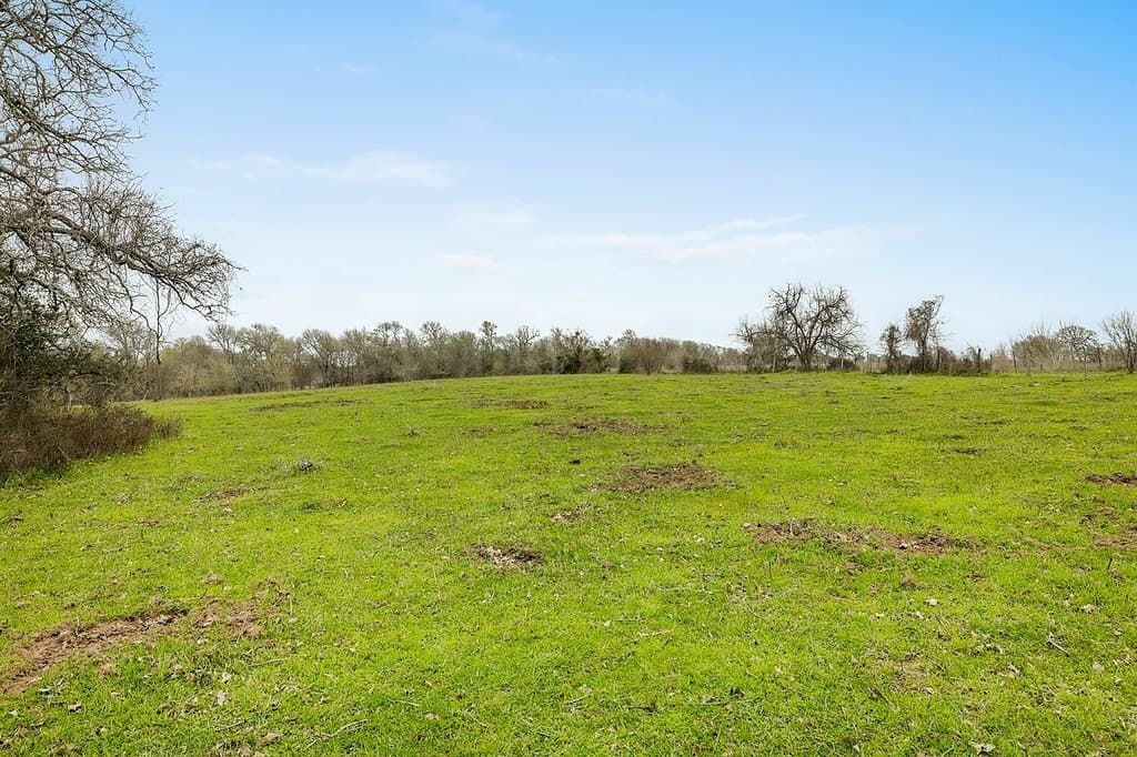 21 acres in Colorado County - photo 4