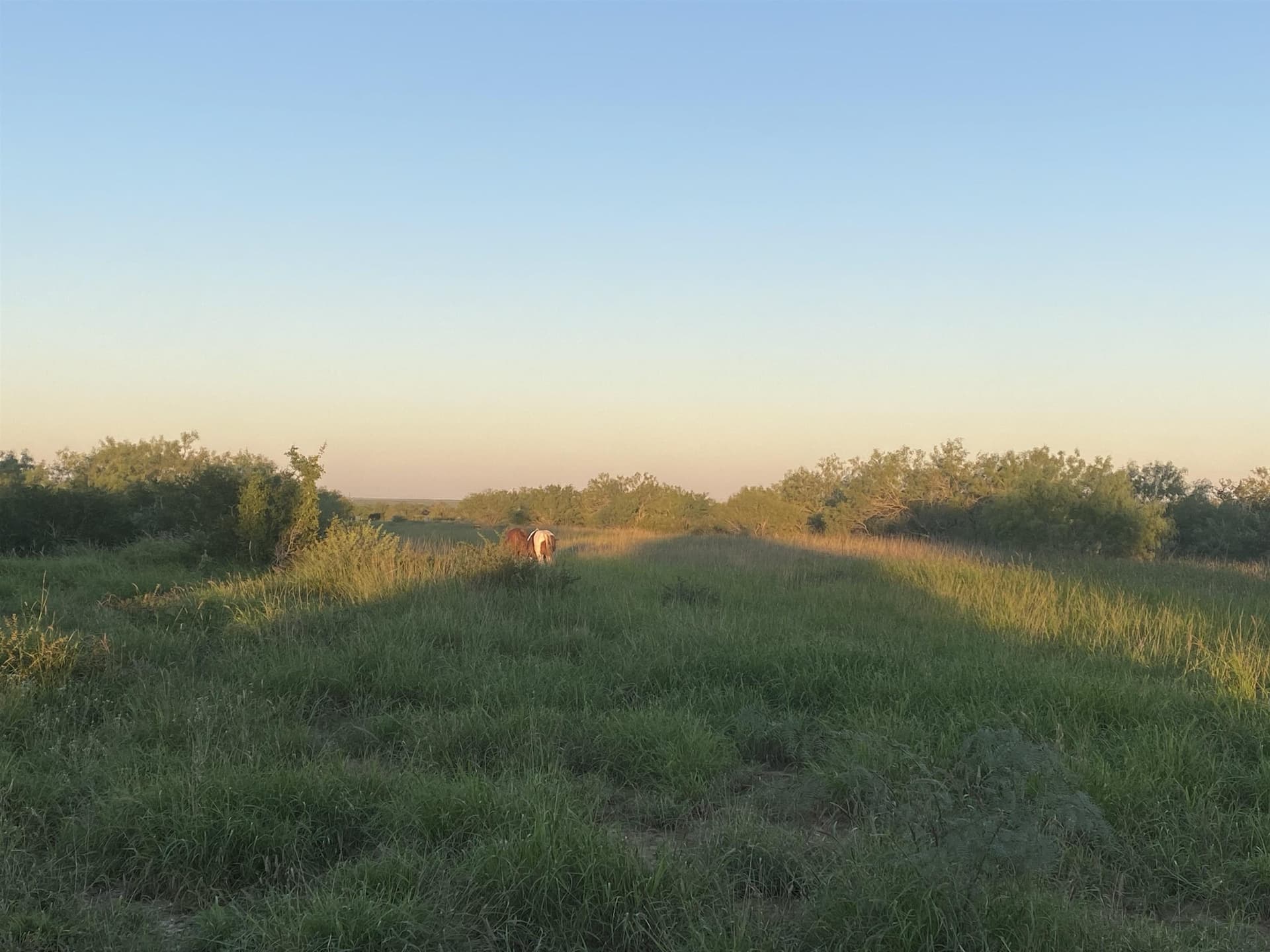 35.9 acres in LA SALLE County - photo 7