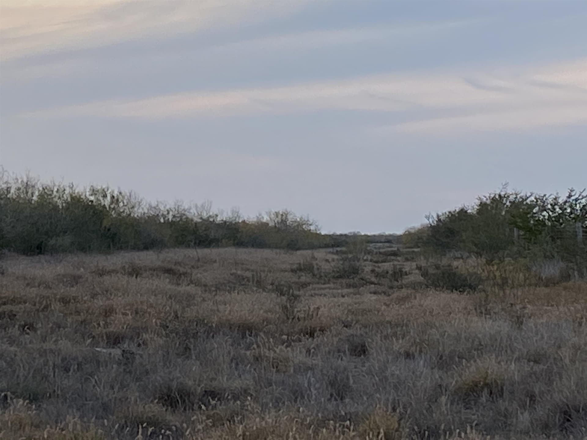 35.9 acres in LA SALLE County - photo 3