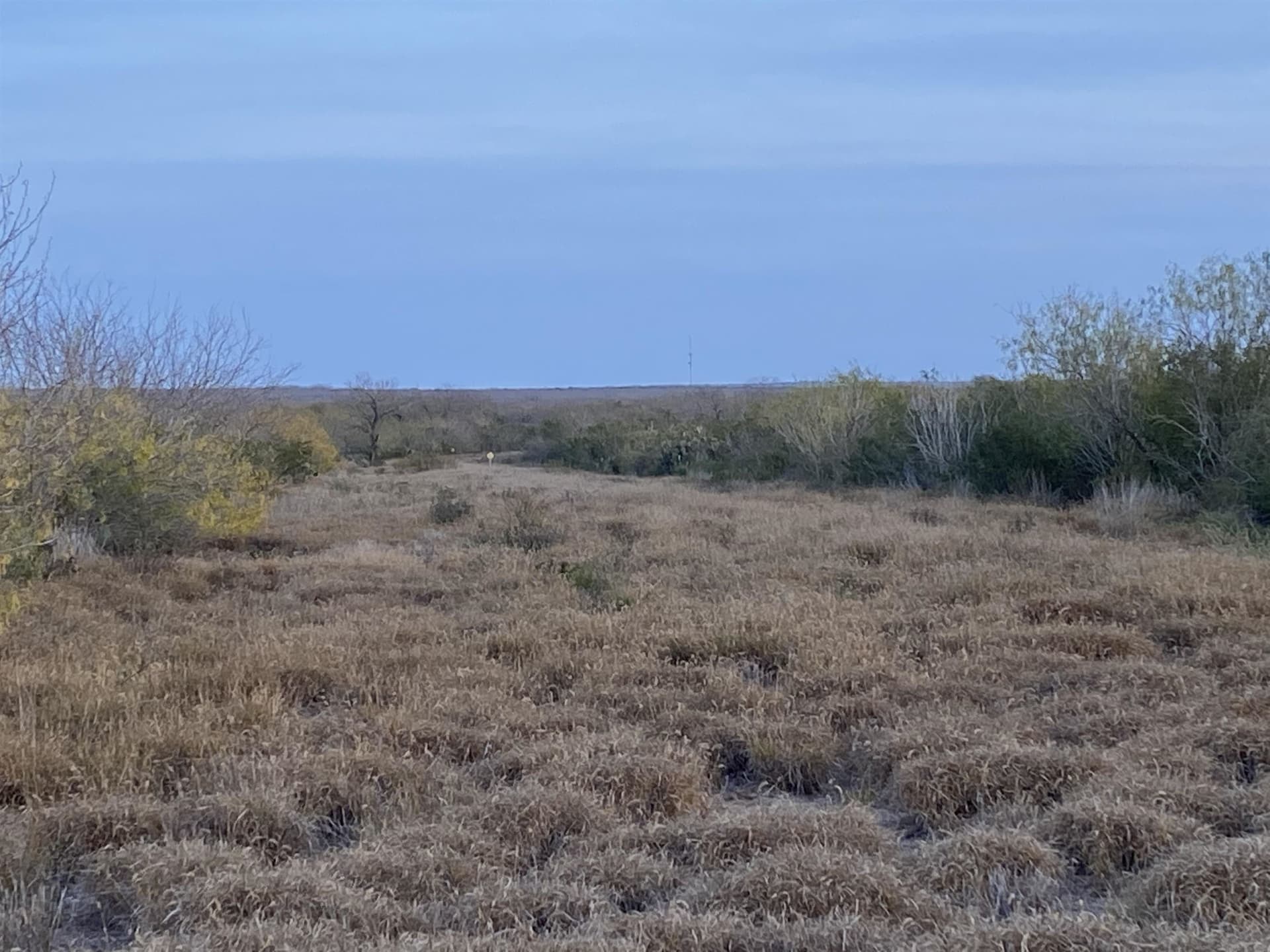35.9 acres in LA SALLE County - photo 2