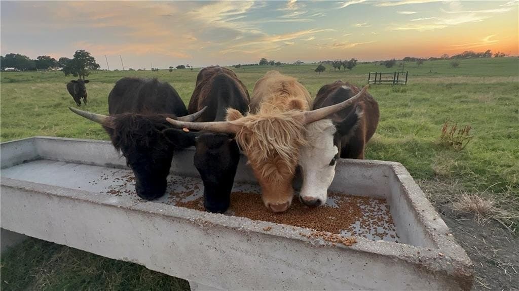 31.37 acres in McLennan County - photo 35