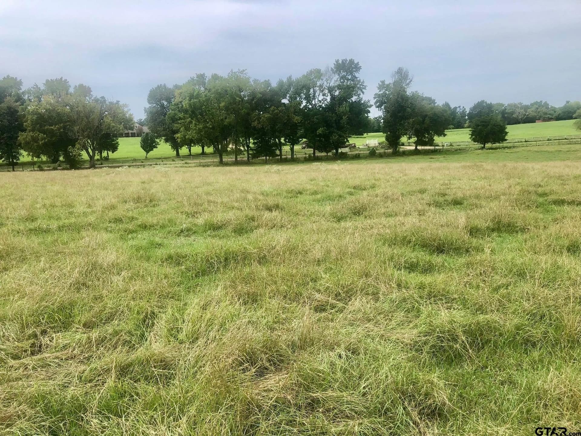 13 acres in Smith County - photo 4