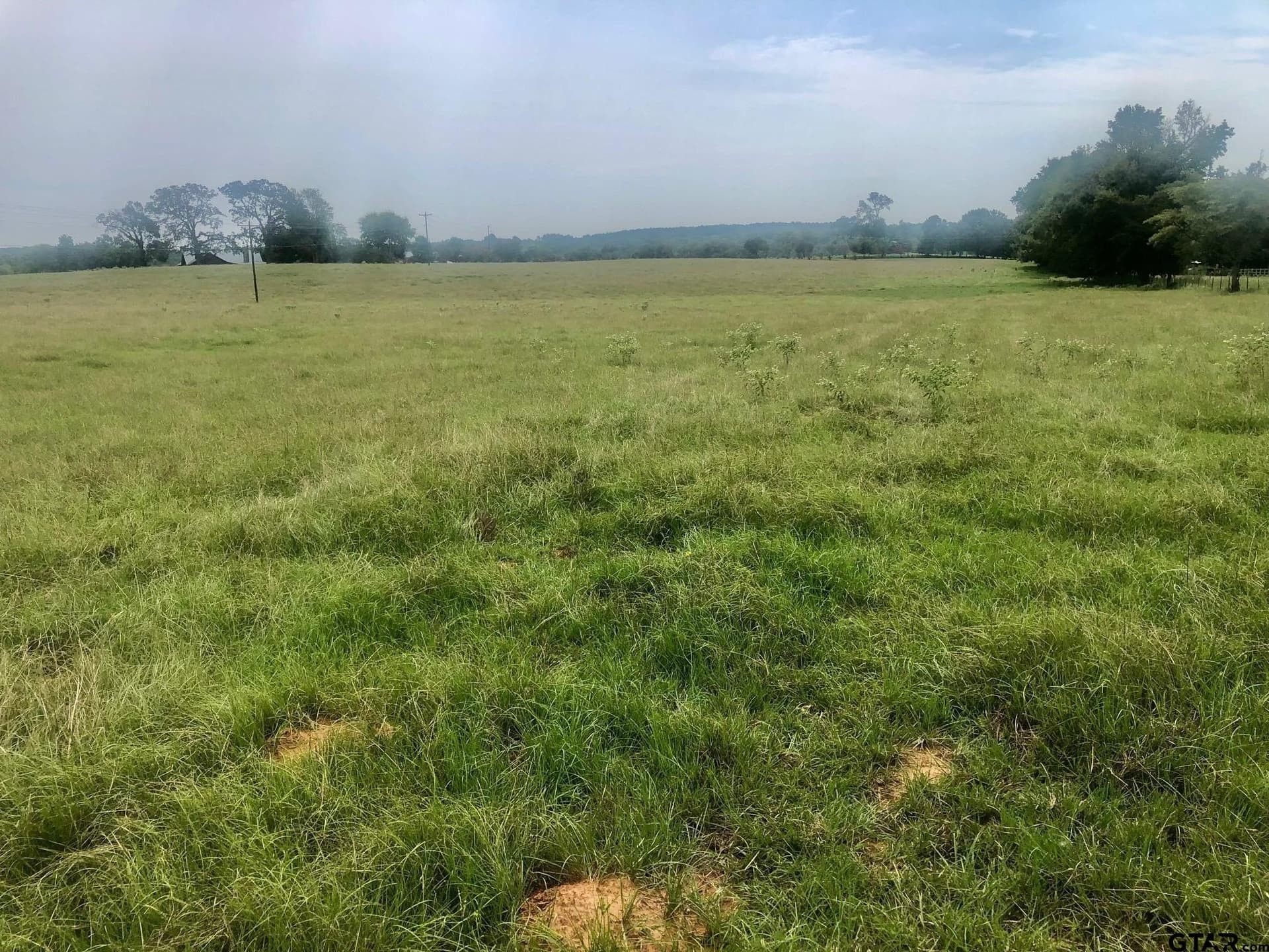 13 acres in Smith County - photo 5
