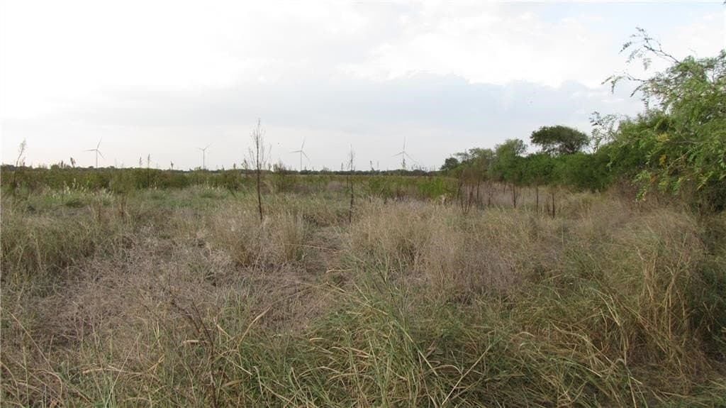 5.2 acres in San Patricio County - photo 4