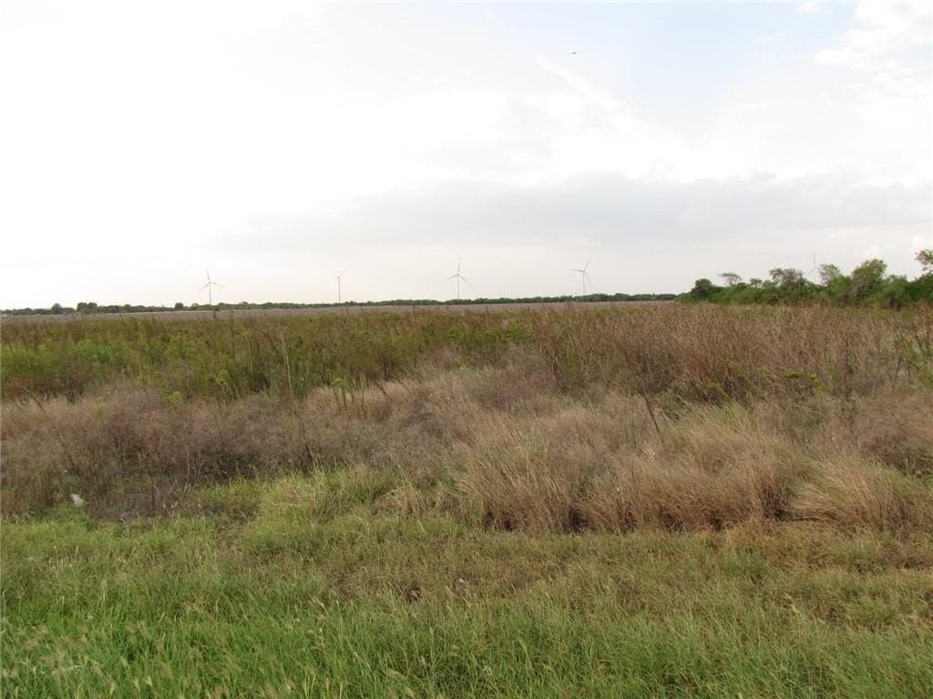 5.2 acres in San Patricio County - photo 3