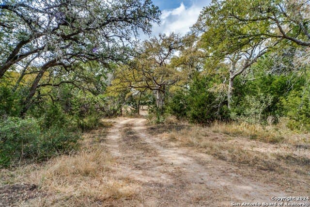 12.18 acres in Comal County - photo 29