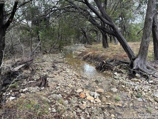 12.18 acres in Comal County - photo 34