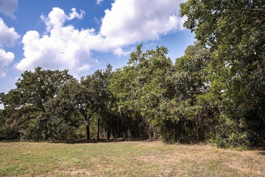 1 acres in Washington County - photo 7