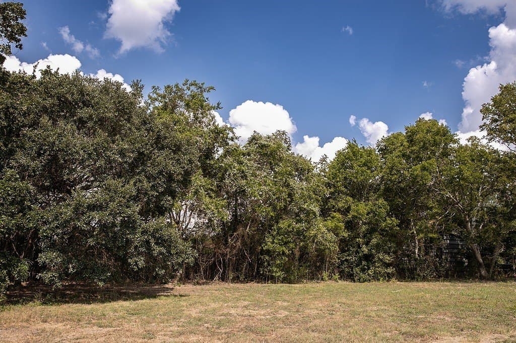 1 acres in Washington County - photo 4