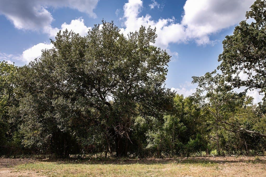 1 acres in Washington County - photo 5