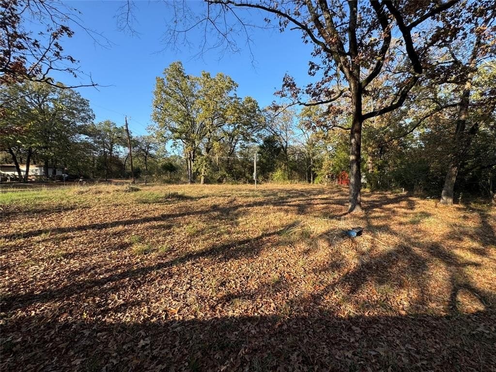 0.13 acres in Henderson County - photo 3